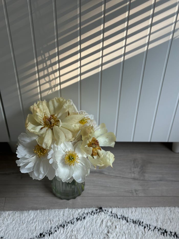 about-02 A beautiful arrangement of white flowers in a glass vase, highlighted by sunlight casting shadows.